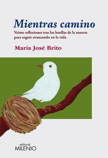 MIENTRAS CAMINO | 9788497434966 | BRITO,MARIA JOSE | Llibreria Geli - Llibreria Online de Girona - Comprar llibres en català i castellà