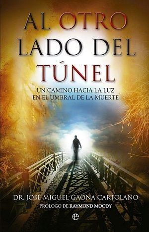 AL OTRO LADO DEL TUNEL | 9788499702643 | GAONA CARTOLANO,JOSE MIGUEL | Llibreria Geli - Llibreria Online de Girona - Comprar llibres en català i castellà