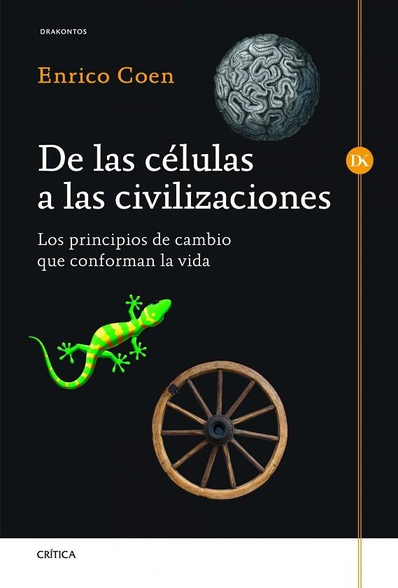 DE LAS CELULAS A LAS CIVILIZACIONES.LOS PRINCIPIOS DE CAMBIO QUE CONFORMAN LA VIDA | 9788498924954 | COEN,ENRICO | Llibreria Geli - Llibreria Online de Girona - Comprar llibres en català i castellà