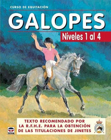 GALOPES NIVELES 1 AL 4.CURSO DE EQUITACION | 9788479025618 | LOS AUTORES DE GALOPES | Llibreria Geli - Llibreria Online de Girona - Comprar llibres en català i castellà