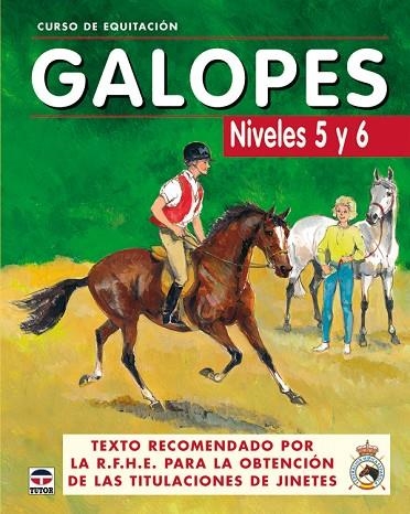 GALOPES.NIVELES 5 Y 6.CURSO DE EQUITACION | 9788479025625 | LOS AUTORES DE GALOPES | Llibreria Geli - Llibreria Online de Girona - Comprar llibres en català i castellà