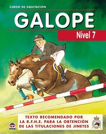 GALOPE,CURSO DE EQUITACION.NIVEL 7 | 9788479025823 | GOAS DIAZ,ANA | Llibreria Geli - Llibreria Online de Girona - Comprar llibres en català i castellà