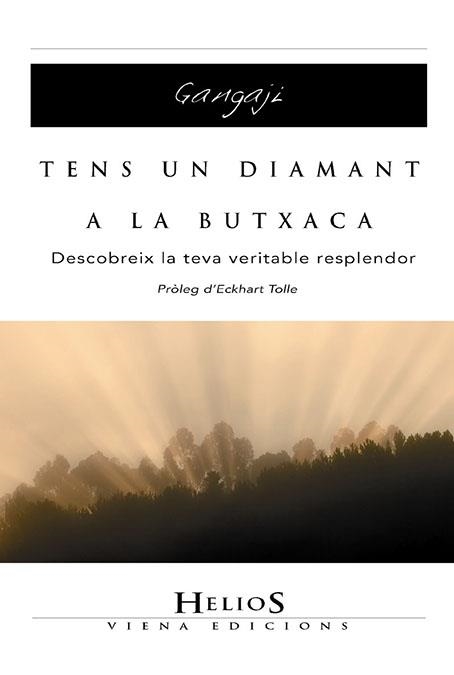 TENS UN DIAMANT A LA BUTXACA.DESCOBREIX LA TEVA VERITABLE ES | 9788483304525 | GANGAJI | Llibreria Geli - Llibreria Online de Girona - Comprar llibres en català i castellà