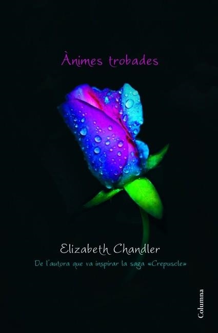 ÀNIMES TROBADES | 9788466415095 | CHANDLER,ELIZABETH | Llibreria Geli - Llibreria Online de Girona - Comprar llibres en català i castellà