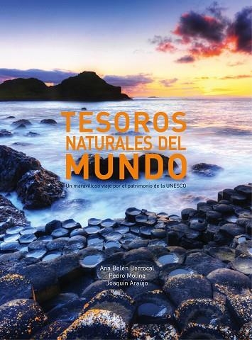 TESOROS NATURALES DEL MUNDO (TD) | 9788497859868 | MOLINA HOLGADO,PEDRO/BERROCAL MENÁRGUEZ,ANA BELÉN | Llibreria Geli - Llibreria Online de Girona - Comprar llibres en català i castellà