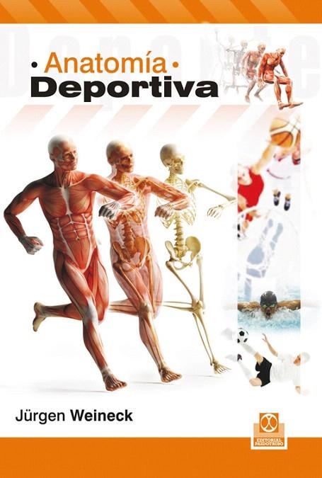 ANATOMÍA DEPORTIVA | 9788499104041 | WEINECK,JÜRGEN | Llibreria Geli - Llibreria Online de Girona - Comprar llibres en català i castellà