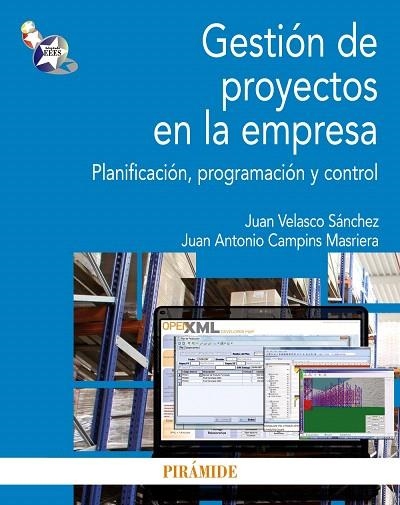 GESTIÓN DE PROYECTOS EN LA EMPRESA.PLANIFICACIÓN,PROGRAMACIÓN Y CONTROL | 9788436829495 | VELASCO SÁNCHEZ,JUAN/CAMPINS MASRIERA,JUAN ANTONIO | Llibreria Geli - Llibreria Online de Girona - Comprar llibres en català i castellà