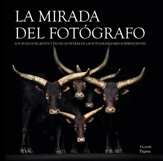 LA MIRADA DEL FOTÓGRAFO.LOS NUEVOS SECRETOS Y TECNICAS DETRAS DE LAS FOTOGRAFIAS MAS SORPRENDENTES | 9788441534254 |   | Libreria Geli - Librería Online de Girona - Comprar libros en catalán y castellano