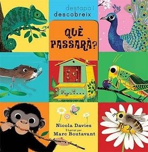 QUÈ PASSARÀ? (DESTAPA I DESCOBREIX) | 9788426139979 | DAVIES,NICOLA/BOUTAVANT,MARC (IL) | Llibreria Geli - Llibreria Online de Girona - Comprar llibres en català i castellà