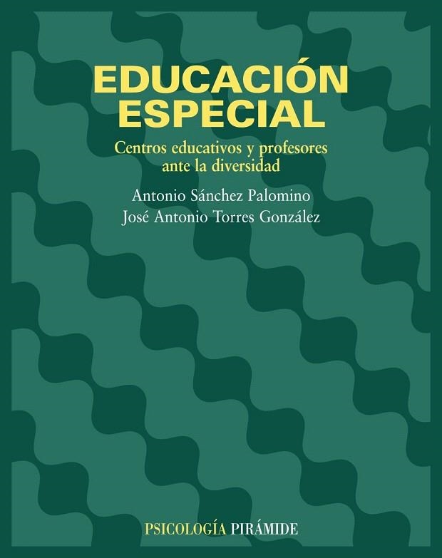 EDUCACION ESPECIAL.CENTROS EDUCATIVOS Y PROFESORES | 9788436816501 | SANCHEZ,ANTONIO/TORRES,JOSE ANTONIO | Libreria Geli - Librería Online de Girona - Comprar libros en catalán y castellano