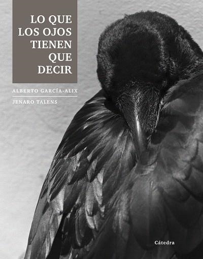 LO QUE LOS OJOS TIENEN QUE DECIR | 9788437633251 | GARCÍA-ALIX,ALBERTO/TALENS,JENARO(TEXT) | Llibreria Geli - Llibreria Online de Girona - Comprar llibres en català i castellà