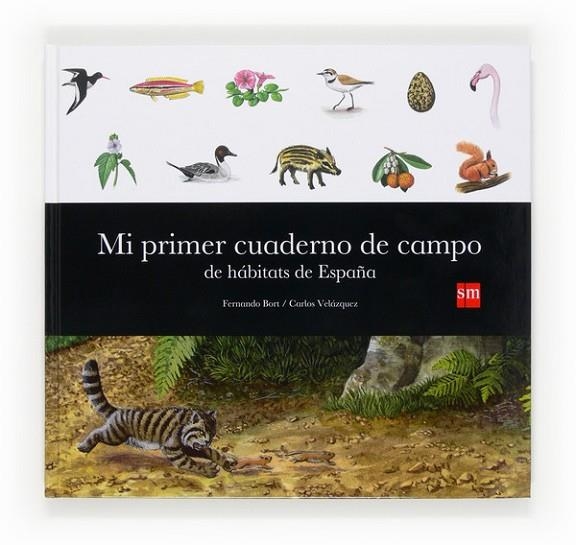 MI PRIMER CUADERNO DE CAMPO DE HABITATS DE ESPAÑA | 9788467563566 | BORT MISOL, FERNANDO | Llibreria Geli - Llibreria Online de Girona - Comprar llibres en català i castellà