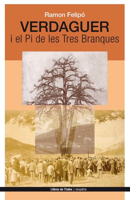 VERDAGUER I EL PI DE LES TRES BRANQUES | 9788494288920 | FELIPÓ,RAMON | Libreria Geli - Librería Online de Girona - Comprar libros en catalán y castellano