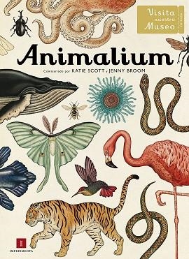 ANIMALIUM(CASTELLANO) | 9788415979463 | SCOTT,KATTIE/BROOM,JENNY | Llibreria Geli - Llibreria Online de Girona - Comprar llibres en català i castellà