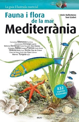 FLORA I FAUNA DE LA MAR MEDITERRÀNIA | 9788415885252 | BALLESTEROS,ENRIC/LLOBET,TONI | Llibreria Geli - Llibreria Online de Girona - Comprar llibres en català i castellà