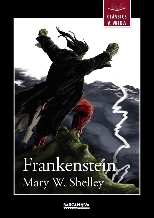 FRANKENSTEIN | 9788448934927 | SHELLEY,MARY W. | Llibreria Geli - Llibreria Online de Girona - Comprar llibres en català i castellà