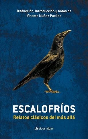 ESCALOFRÍOS.RELATOS CLÁSICOS DEL MÁS ALLÁ | 9788498457032 | MUÑOZ PUELLES,VICENTE | Libreria Geli - Librería Online de Girona - Comprar libros en catalán y castellano