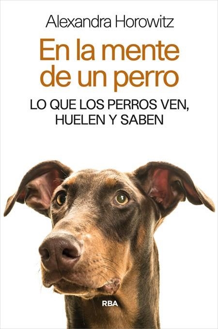 EN LA MENTE DE UN PERRO.LO QUE LOS PERROS VEN,HUELEN Y SABEN | 9788490565346 | HOROWITZ,ALEXANDRA | Llibreria Geli - Llibreria Online de Girona - Comprar llibres en català i castellà