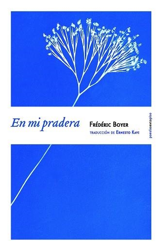 EN MI PRADERA | 9788416358038 | BOYER,FRÉDÉRIC | Llibreria Geli - Llibreria Online de Girona - Comprar llibres en català i castellà