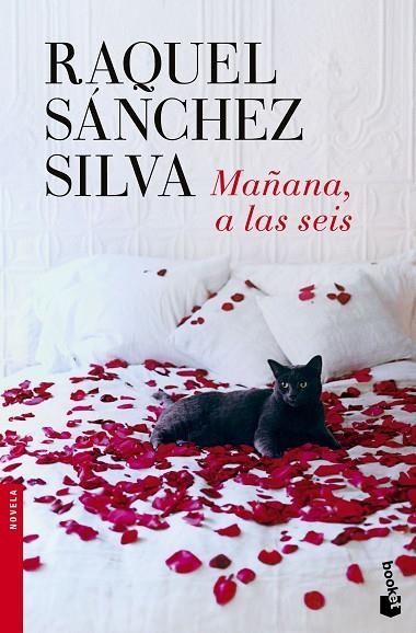 MAÑANA,A LAS SEIS | 9788408140498 | SÁNCHEZ SILVA,RAQUEL | Llibreria Geli - Llibreria Online de Girona - Comprar llibres en català i castellà