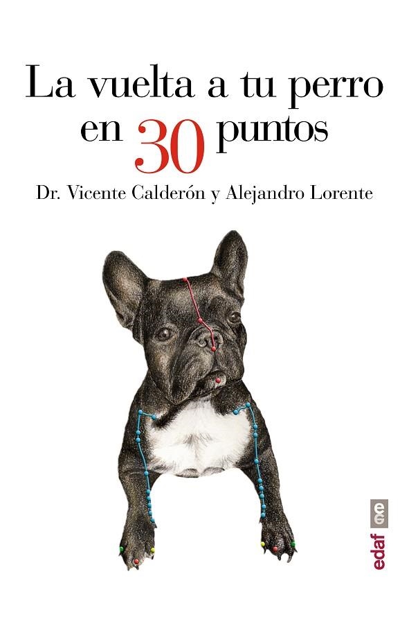 LA VUELTA A TU PERRO EN 30 PUNTOS | 9788441435483 | CALDERÓN,DR. VICENTE/LORENTE,ALEJANDRO | Libreria Geli - Librería Online de Girona - Comprar libros en catalán y castellano