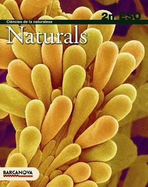 NATURALS-2(ESO) | 9788448922719 | GENÉ, MARTA/ARAGONÈS, MERITXELL/CODINACH, ESTEVE/MOYA, SARA/MARLÉS, JOSEP/FÀBREGAS, CHRISTIAN/GUTIÉR | Llibreria Geli - Llibreria Online de Girona - Comprar llibres en català i castellà