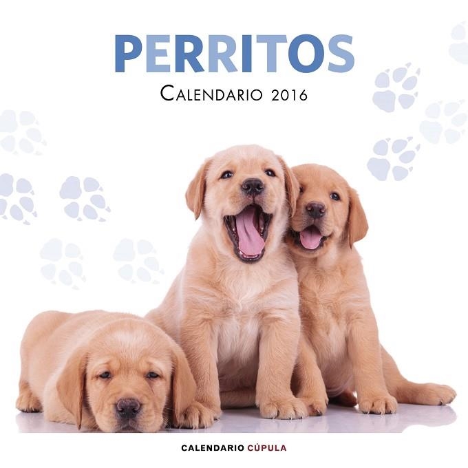 CALENDARIO PERRITOS 2016 | 9788448021702 | AA. VV. | Llibreria Geli - Llibreria Online de Girona - Comprar llibres en català i castellà