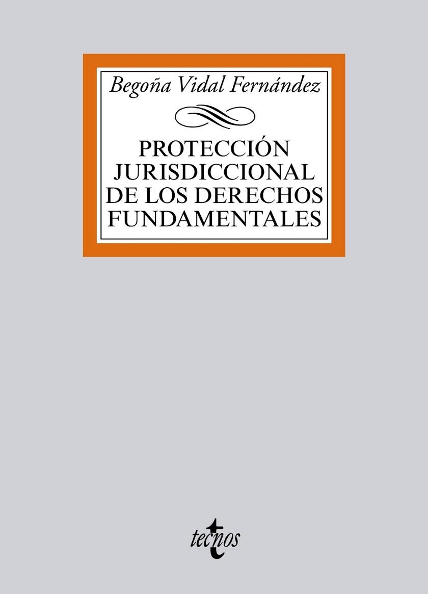 PROTECCIÓN JURISDICCIONAL DE LOS DERECHOS FUNDAMENTALES | 9788430965991 | VIDAL FERNÁNDEZ,BEGOÑA | Llibreria Geli - Llibreria Online de Girona - Comprar llibres en català i castellà