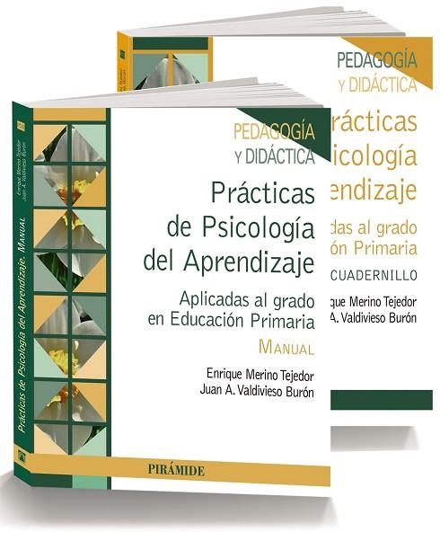 PRÁCTICAS DE PSICOLOGÍA DEL APRENDIZAJE.APLICADAS AL GRADO EN EDUCACIÓN PRIMARIA.MANUAL | 9788436833799 | MERINO TEJEDOR,ENRIQUE/VALDIVIESO BURÓN,JUAN A. | Llibreria Geli - Llibreria Online de Girona - Comprar llibres en català i castellà