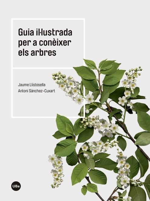 GUIA IL.LUSTRADA PER A CONÈIXER ELS ARBRES | 9788447542444 | LLISTOSELLA VIDAL,JAUME/SÀNCHEZ CUXART, ANTONI | Llibreria Geli - Llibreria Online de Girona - Comprar llibres en català i castellà