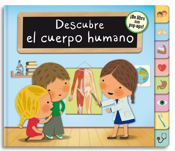 DESCUBRE EL CUERPO HUMANO | 9788448844325 | A.A.V.V. | Llibreria Geli - Llibreria Online de Girona - Comprar llibres en català i castellà