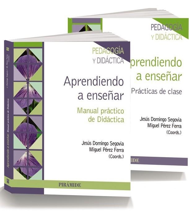 APRENDIENDO A ENSEÑAR.MANUAL PRÁCTICO DE DIDÁCTICA | 9788436834765 | DOMINGO SEGOVIA,JESÚS/PÉREZ FERRA,MIGUEL (COORDS.) | Llibreria Geli - Llibreria Online de Girona - Comprar llibres en català i castellà