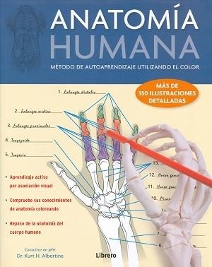 ANATOMÍA HUMANA.METODO DE AUTOPRENDIZAJE UTILIZANDO EL COLOR | 9789089986580 | ALBERTINE,KURT H. | Llibreria Geli - Llibreria Online de Girona - Comprar llibres en català i castellà