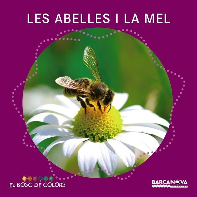 LES ABELLES I LA MEL (LLETRA DE PAL I LLETRA LLIGADA) | 9788448938796 | BALDÓ,ESTEL/GIL,ROSA/SOLIVA,MARIA/CIRERA,CARLOTA (IL) | Llibreria Geli - Llibreria Online de Girona - Comprar llibres en català i castellà