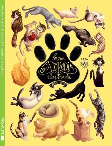 BREVE GATOPEDIA ILUSTRADA | 9788494469862 | ZARO,ZORAIDA | Llibreria Geli - Llibreria Online de Girona - Comprar llibres en català i castellà