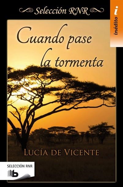 CUANDO PASE LA TORMENTA | 9788490702543 | DE VICENTE,LUCÍA | Llibreria Geli - Llibreria Online de Girona - Comprar llibres en català i castellà