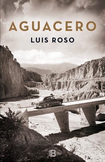 AGUACERO | 9788466659215 | ROSO,LUIS | Llibreria Geli - Llibreria Online de Girona - Comprar llibres en català i castellà