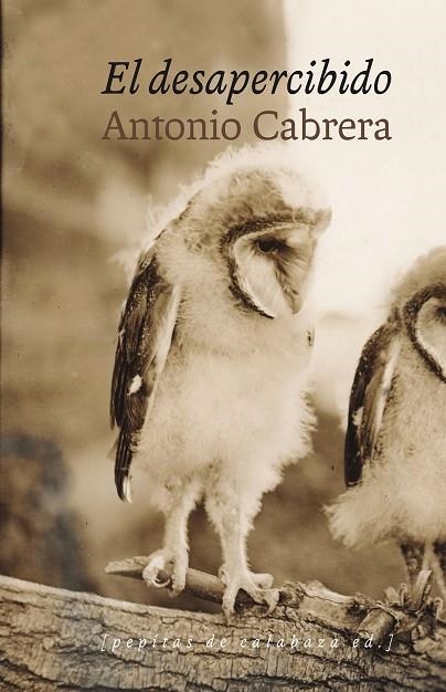 EL DESAPERCIBIDO | 9788415862611 | CABRERA,ANTONIO | Llibreria Geli - Llibreria Online de Girona - Comprar llibres en català i castellà