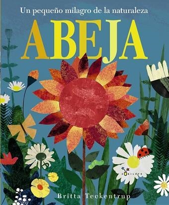 ABEJA | 9788469606223 | HEGARTY,PATRICIA | Llibreria Geli - Llibreria Online de Girona - Comprar llibres en català i castellà