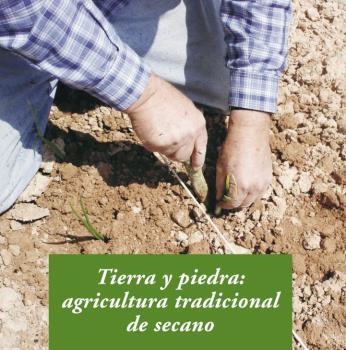 TIERRA Y PIEDRA | 9788476288955 | GROS SANTASUSANA,ALBA | Llibreria Geli - Llibreria Online de Girona - Comprar llibres en català i castellà