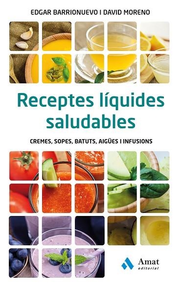 RECEPTES LÍQUIDES SALUDABLES | 9788497358828 | BARRIONUEVO BURGOS,EDGAR/MORENO MELER,DAVID | Llibreria Geli - Llibreria Online de Girona - Comprar llibres en català i castellà