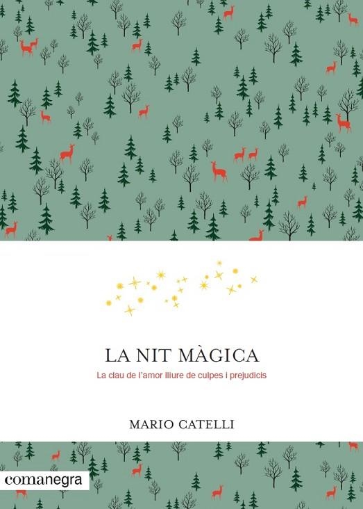 LA NIT MÀGICA | 9788416605552 | CATELLI,MARIO | Llibreria Geli - Llibreria Online de Girona - Comprar llibres en català i castellà