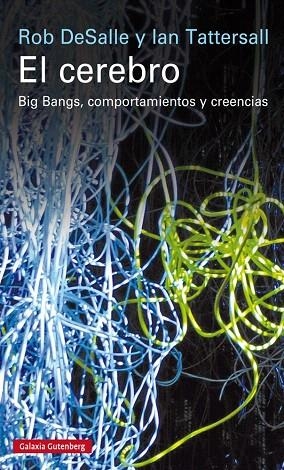 EL CEREBRO.BIG BANGS,COMPORTAMIENTOS Y CREENCIAS | 9788416252268 | DESALLE,ROB/TATTERSALL,IAN | Llibreria Geli - Llibreria Online de Girona - Comprar llibres en català i castellà