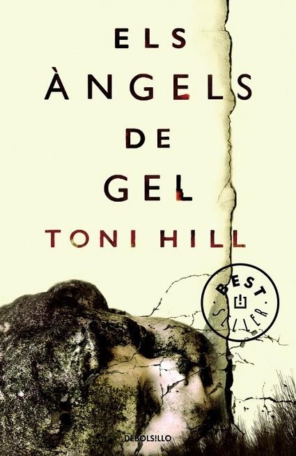 ELS ÀNGELS DE GEL | 9788466338745 | HILL,TONI | Llibreria Geli - Llibreria Online de Girona - Comprar llibres en català i castellà