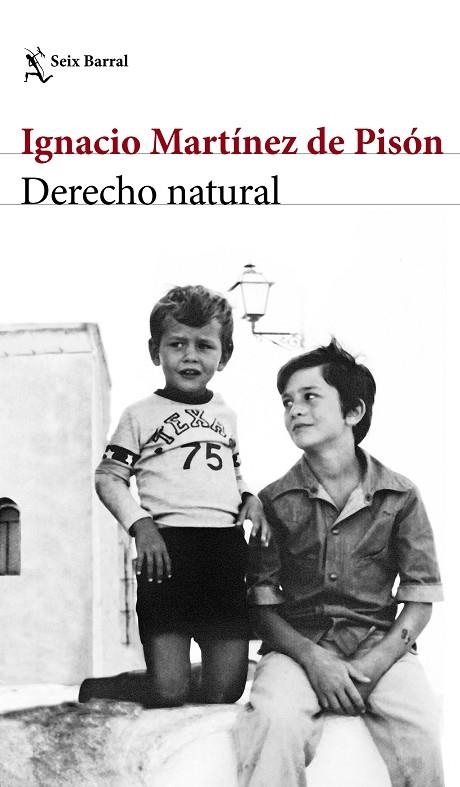 DERECHO NATURAL | 9788432232220 | MARTÍNEZ DE PISÓN,IGNACIO | Llibreria Geli - Llibreria Online de Girona - Comprar llibres en català i castellà