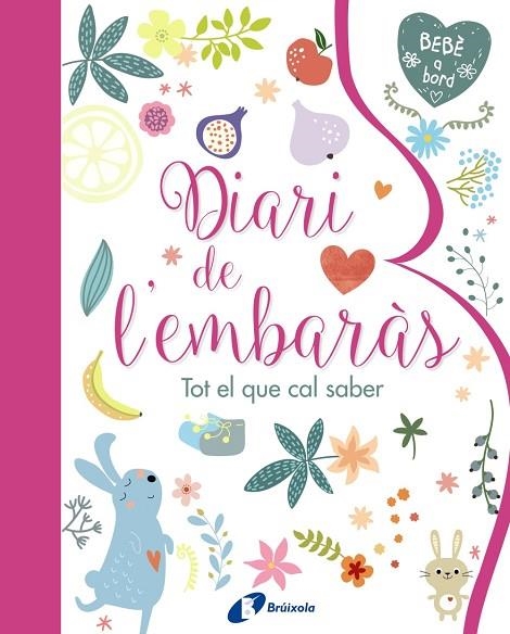 DIARI DE L'EMBARÀS.TOT EL QUE CAL SABER | 9788499067797 | Llibreria Geli - Llibreria Online de Girona - Comprar llibres en català i castellà