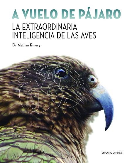 A VUELO DE PAJARO.LA EXTRAORDINARIA INTELIGENCIA DE LAS AVES | 9788416851096 | EMERY,NATHAN,DR. | Llibreria Geli - Llibreria Online de Girona - Comprar llibres en català i castellà