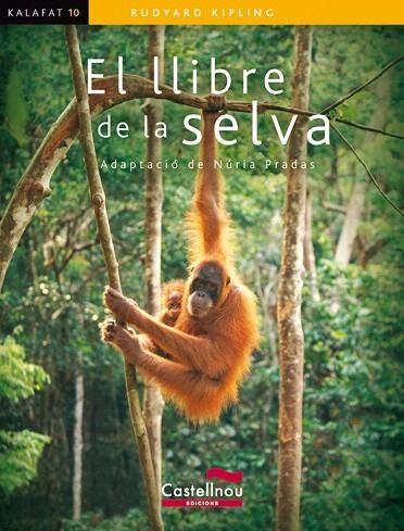 EL LLIBRE DE LA SELVA | 9788498043136 | KIPLING,RUDYARD | Llibreria Geli - Llibreria Online de Girona - Comprar llibres en català i castellà