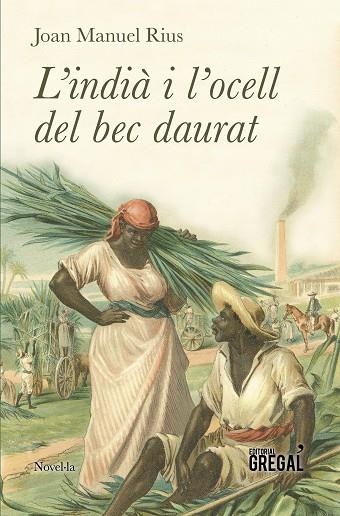 L'INDIÀ I L'OCELL DEL BEC DAURAT | 9788417082123 | RIUS,JOAN MANUEL | Llibreria Geli - Llibreria Online de Girona - Comprar llibres en català i castellà