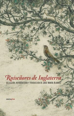 RUISEÑORES DE INGLATERRA | 9788416677498 | A.A.D.D. | Llibreria Geli - Llibreria Online de Girona - Comprar llibres en català i castellà